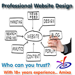 Amixa website design & hosting