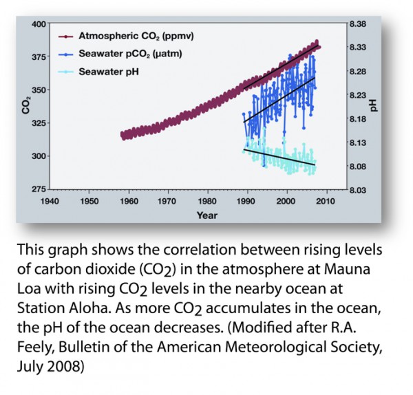 False climate graph