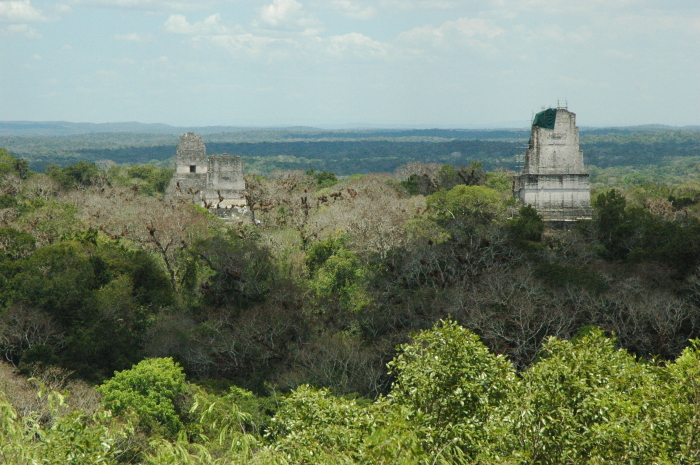 From the top of the Fourth Temple at Tikal