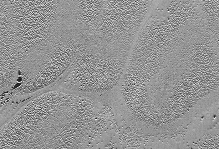 Pitted nitrogen ice plains on Pluto