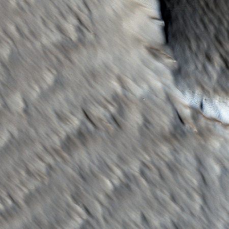Wind scoured Martian surface