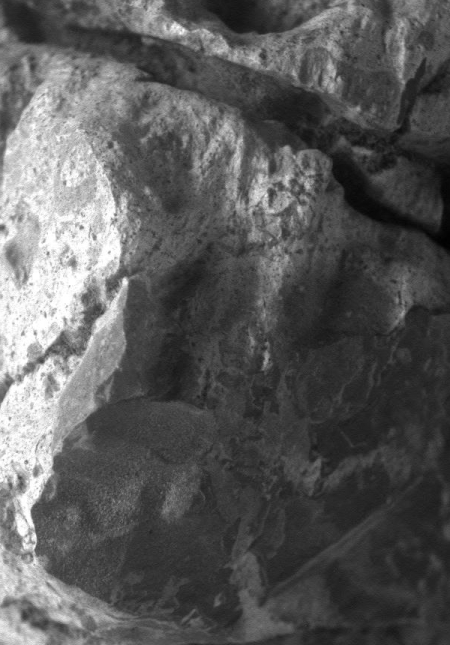 close-up by Opportunity