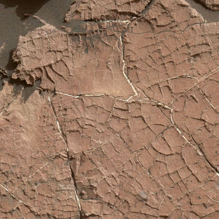 mud cracks on Mars?