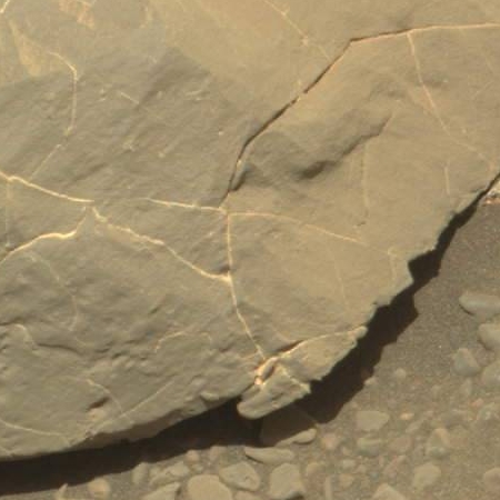 boulder with quartz-like veins