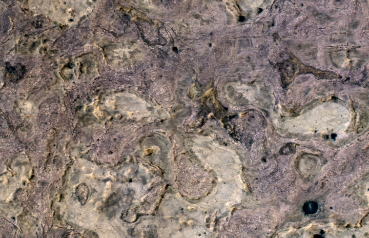 Meridiani Planum