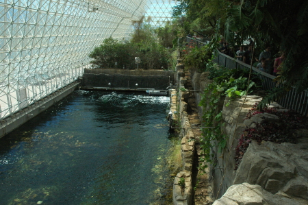 Biosphere 2's ocean