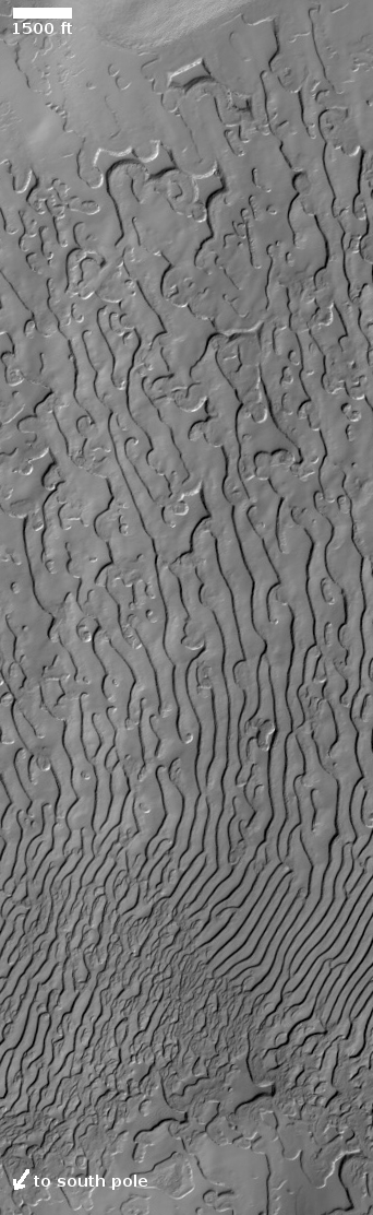 Fingerprint terrain on the Martian south pole icecap