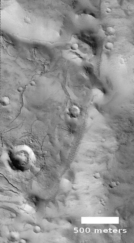 Mud cracks on Mars?