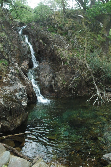 Merlin's Pool