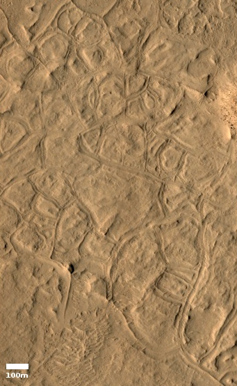 Lava polygons on Mars?