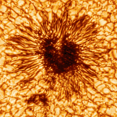Sunspot image taken by Inouye Solar Telescope