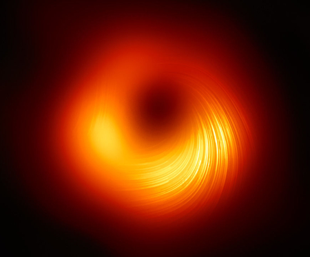 The magnetic field lines of a black hole