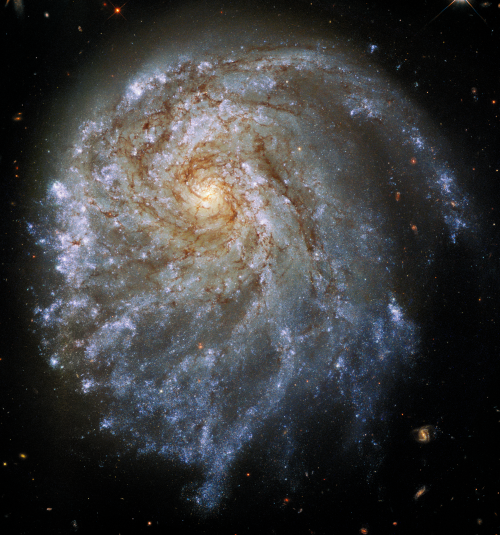Losided spiral galaxy