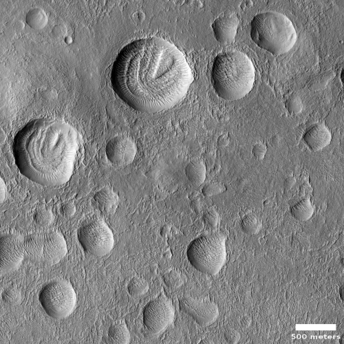 Craters in the soft Martian northern lowland plains