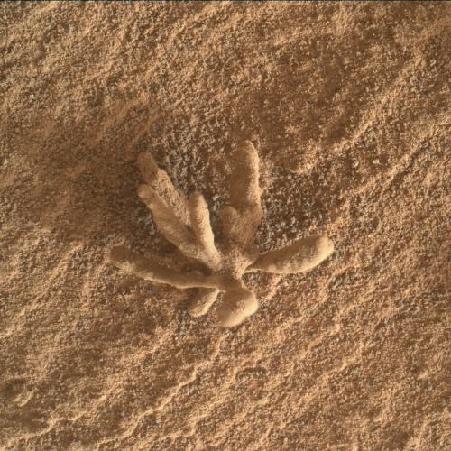 An helictite on Mars?