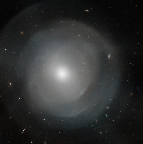 A giant elliptical galaxy