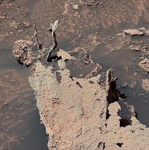 Rock growths on Mars!