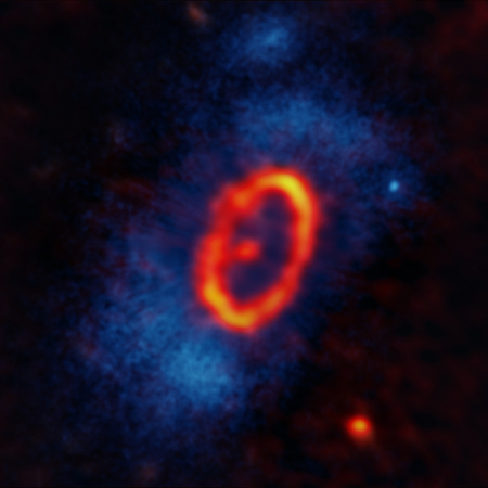 Eccentric debris disk around star.