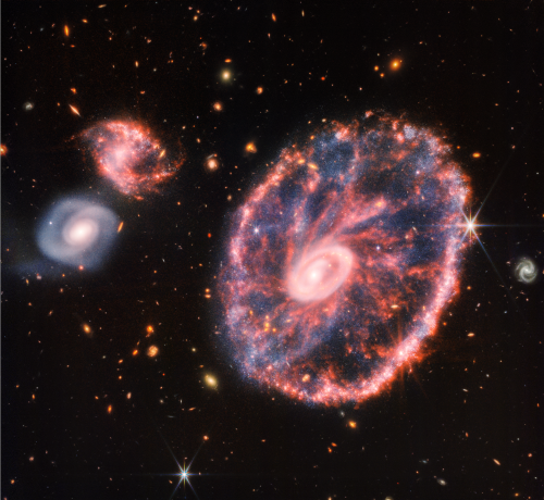 Webb's view of the Cartwheel Galaxy