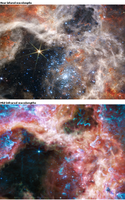 Two views of the Tarantula Nebula by Webb