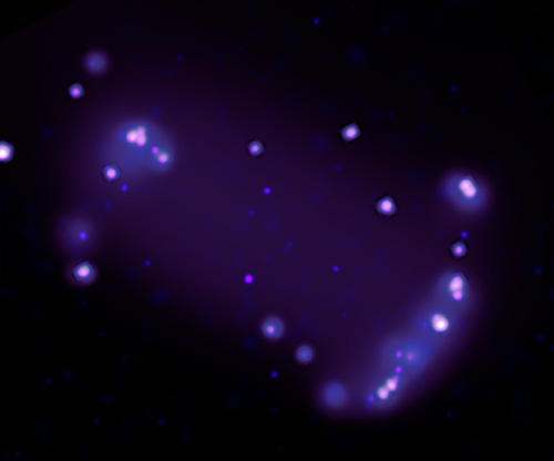 Chandra's X-ray vision of the Cartwheel Galaxy
