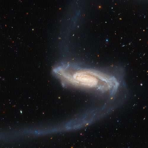 Galaxy with long and faint tidal streams