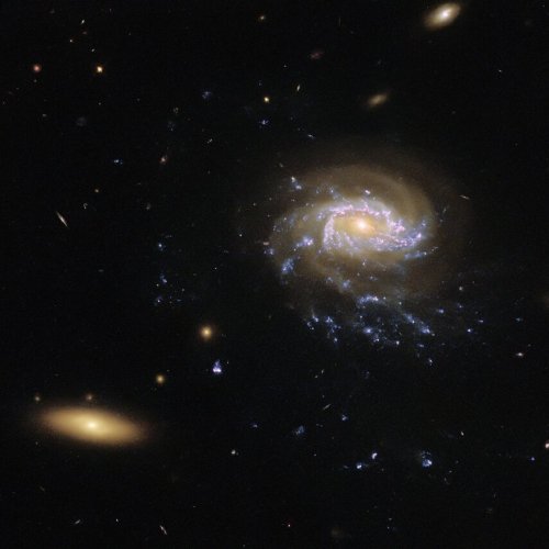 Galaxies afloat in space
