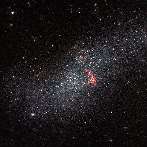 A nearby dwarf galaxy