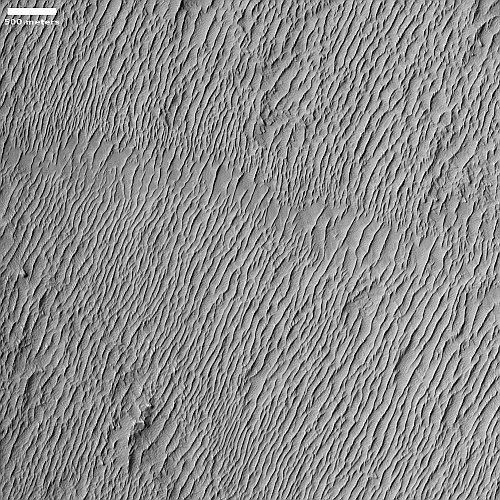 Endless dunes amidst Mars' giant volcanoes