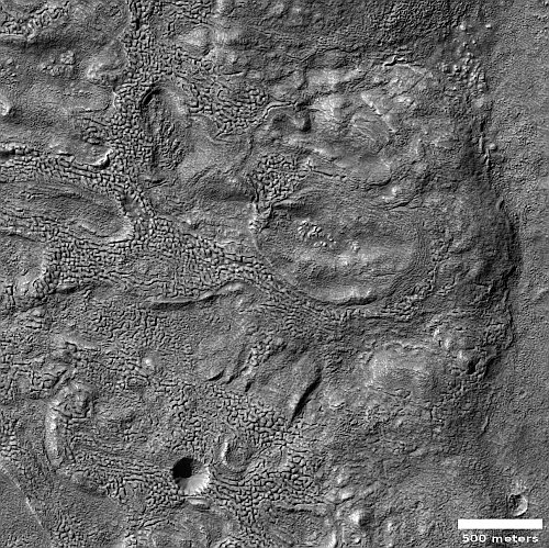 Brain terrain at high elevation on Mars
