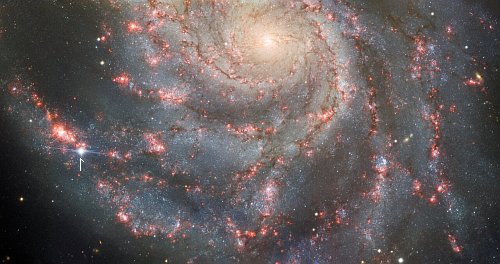 Gemini North image of supernova in Pinwheel Galaxy