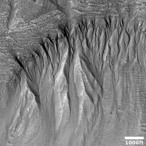 Monitoring the gullies on Mars