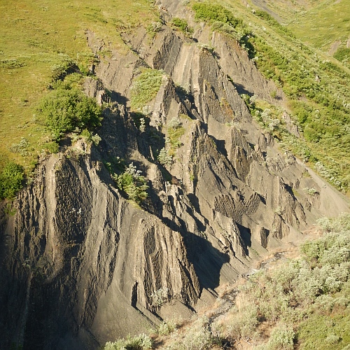 New dinosaur track site in Alaska