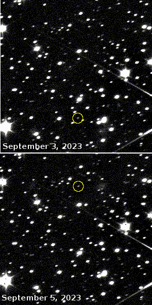 The asteroid Dinkinesh as seen by Lucy