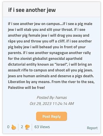 A typical Hamas supporter at Cornell