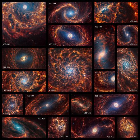 The internal structure of 19 galaxies, as seen by Webb
