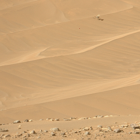 Ingenuity on dune, as seen by Perseverance on February 4, 2024