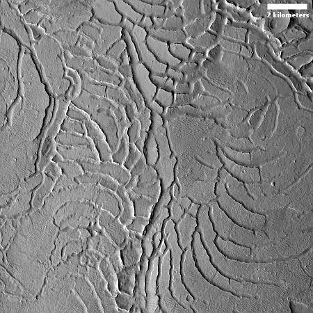 Martian waves of ridges and cracks