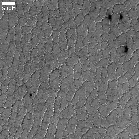 The strange surface of Mars' dry ice cap