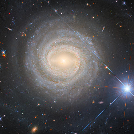 A face-on barred spiral galaxy