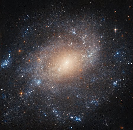 Patchy arms in spiral galaxy