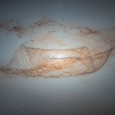 A galaxy's net of dust