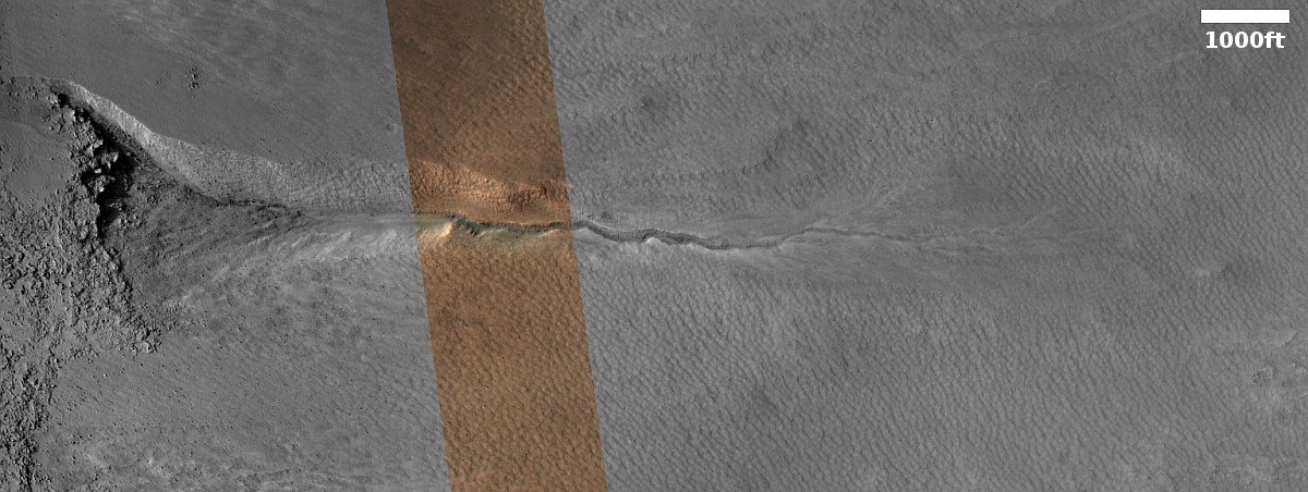 A drainage gully on Mars?