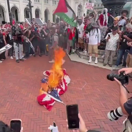 Democrats burn American flags in support of Hamas