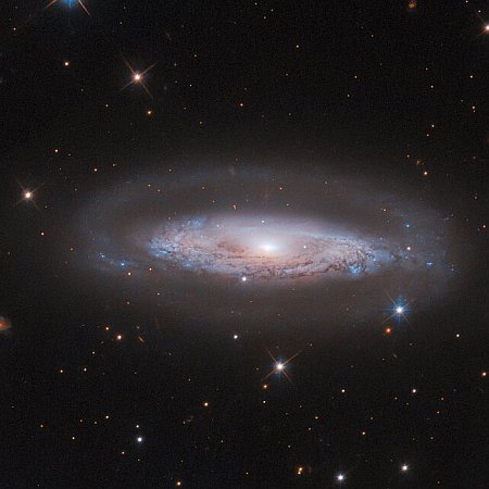 A galaxy with a halo and a stupendous black hole