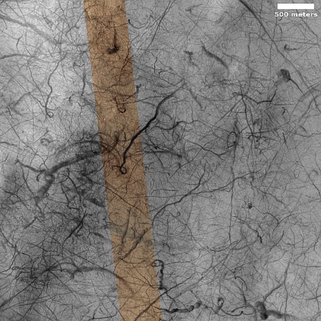 Monitoring a changing landscape on Mars