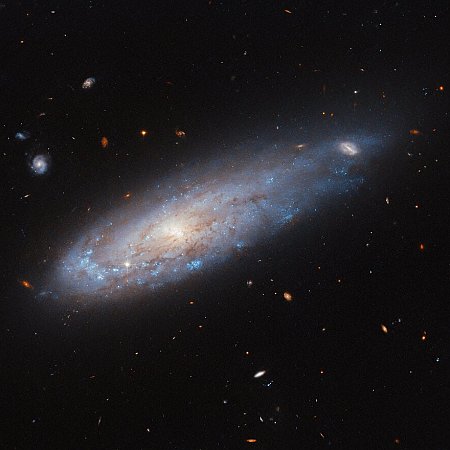 A galaxy squashed by a vacuum