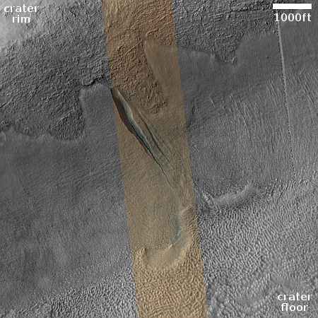 Distinct gully in crater on Mars