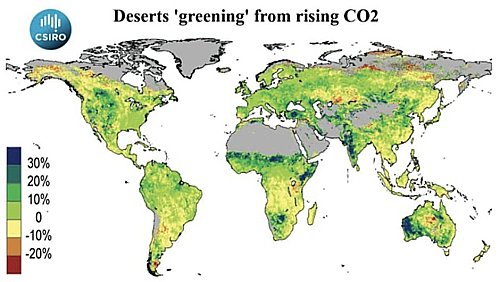 The greening of the Earth since 1982