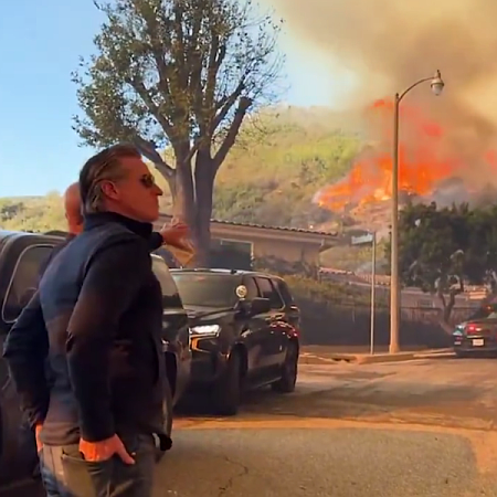 Gavin Newsom, surveying his domain